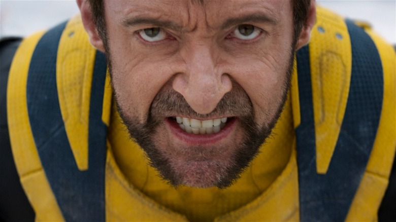 Wolverine snarling