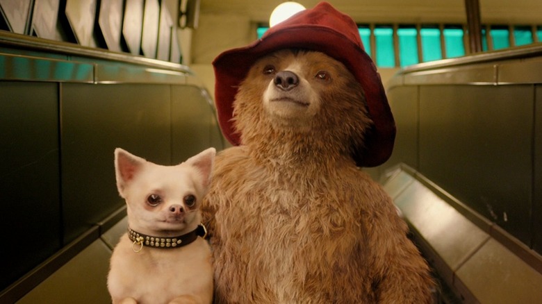 Paddington rides escalator with a dog