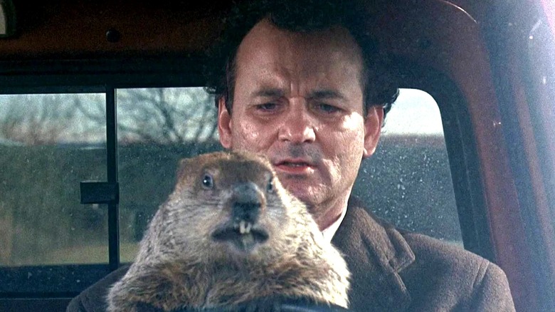 Groundhog driving Phil Connors' truck