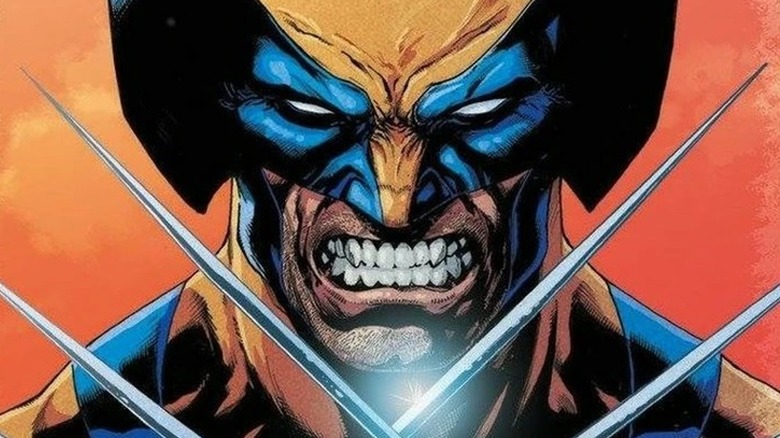 Wolverine showing claws and teeth