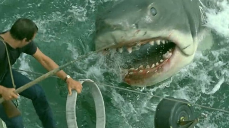 Brody fighting Great White shark