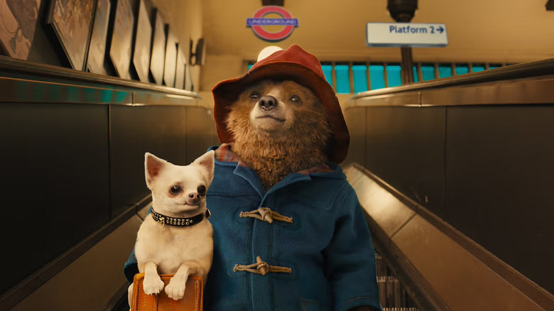 Paddington holding dog on escalator