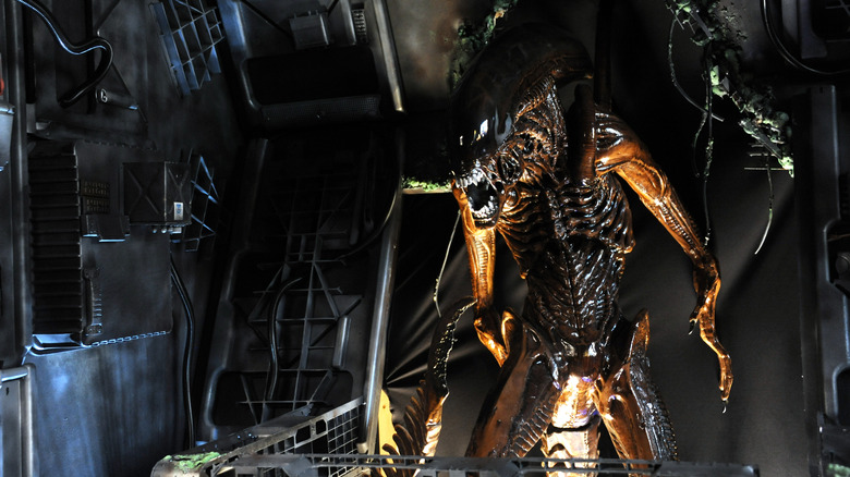 a xenomorph prop on display