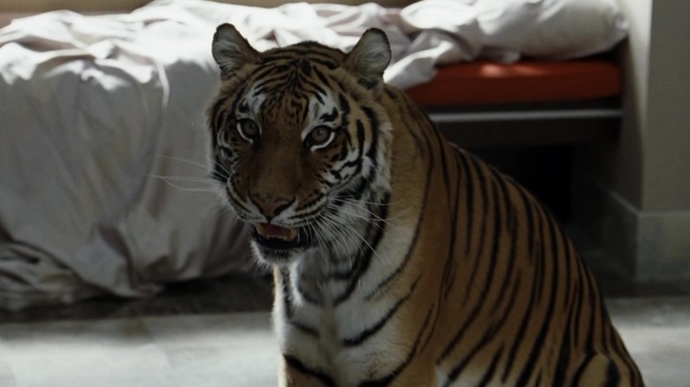 A tiger in a bedroom